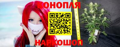 дмт Моздок