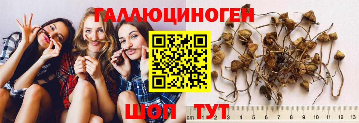 Галлюциногенные грибы ЛСД Протвино
