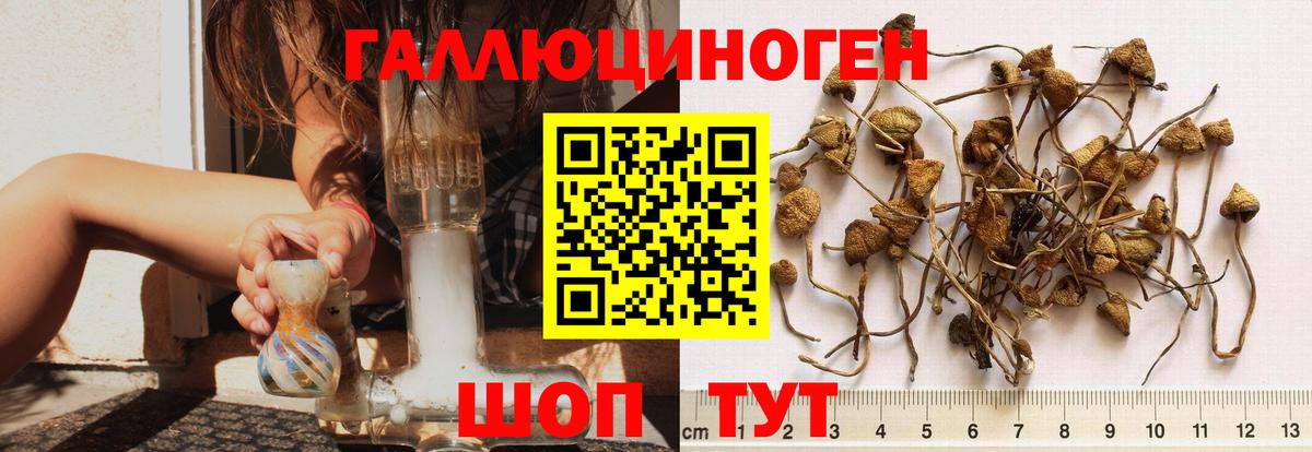 Протвино  Галлюциногенные грибы MAGIC MUSHROOMS  Вход с VPN 